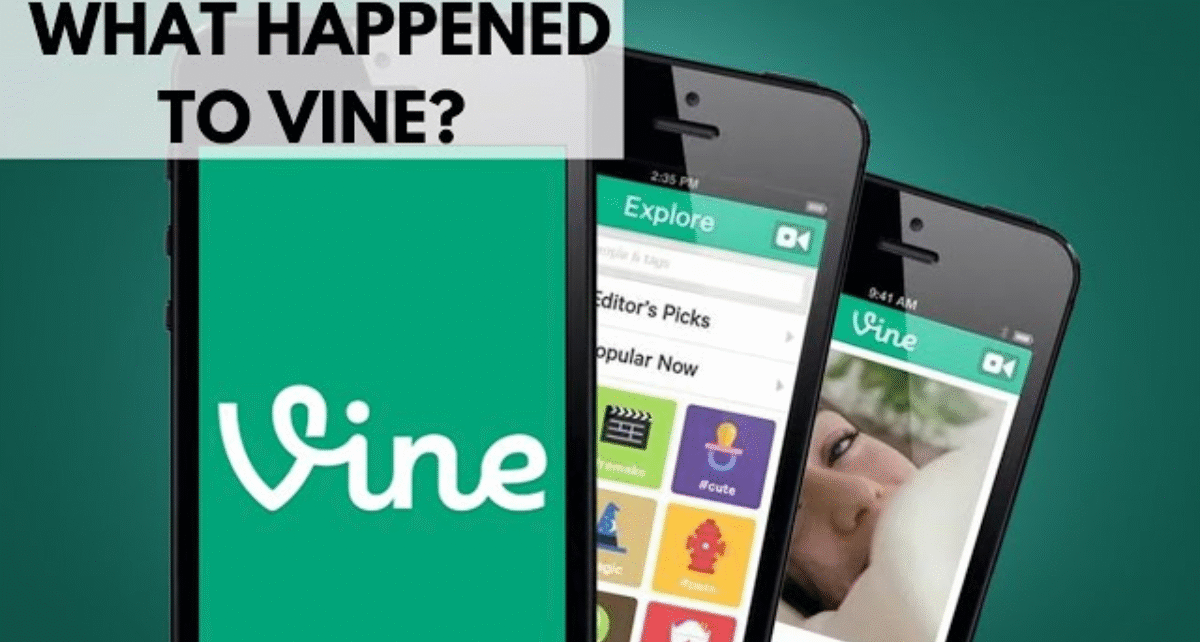 What Happened to Vine